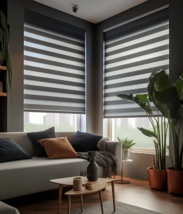 Affordable zebra blinds Dubai