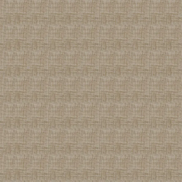 Folio Belarus Latte