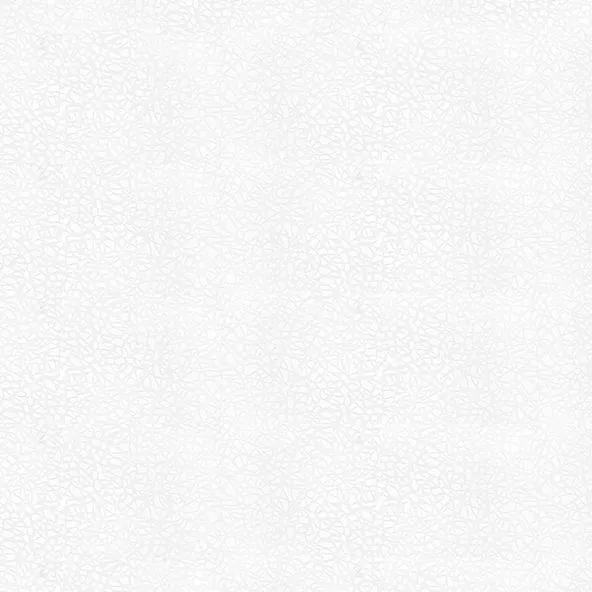 Folio Klara White
