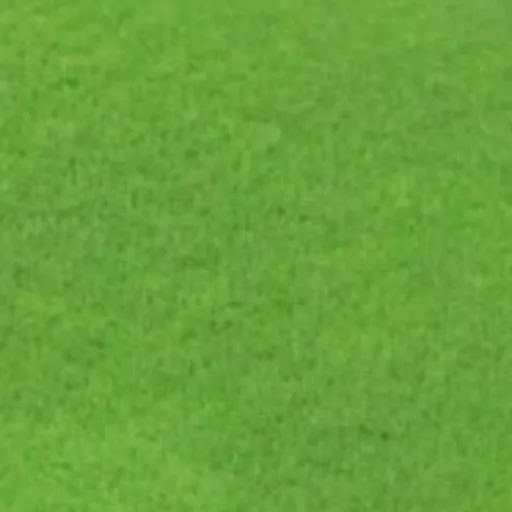 ASF-EXPO 1081 Vert