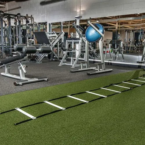 GYM Artificial Grass