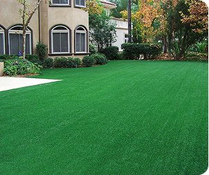 Lawn Artificial Grass
