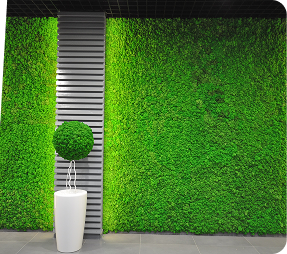 Wall Artificial Grass